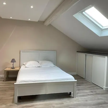 Apartment Studio Hypercentre 4 Min Avenue De Champagne