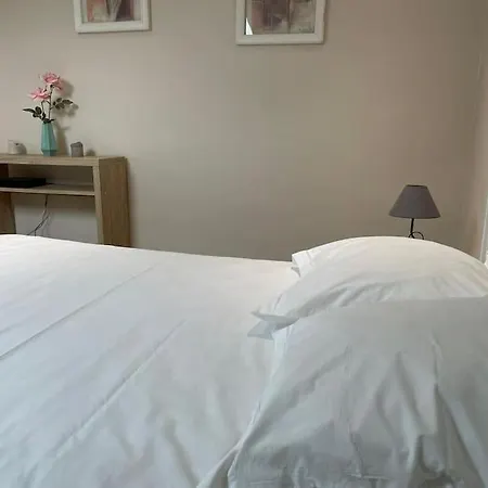 Apartment Studio Hypercentre 4 Min Avenue De Champagne *