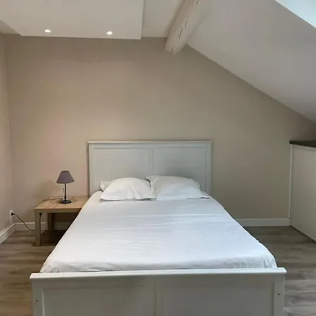 Studio Hypercentre 4 Min Avenue De Champagne